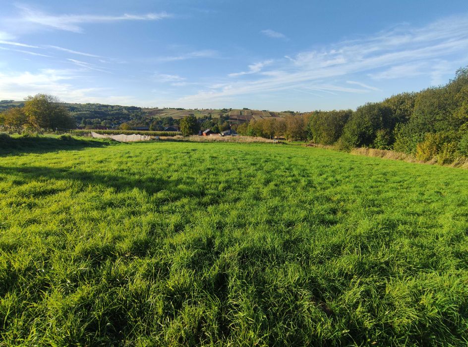 Działka rolno-budowlana 0,1747 ha  PRUCHNIK