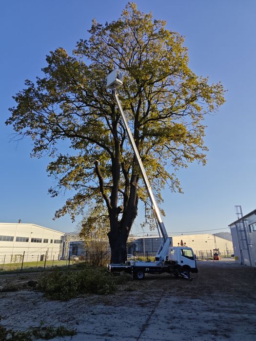 Wycinka drzew ,rębakowanie,usługi ogrodnicze