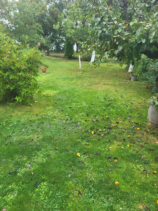 Dom na sprzedaż w Piotraszewie