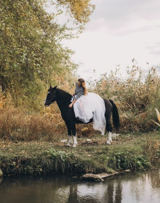 Фотосессия с лошадьми, съёмка с лошадью, фотосессия Харьков