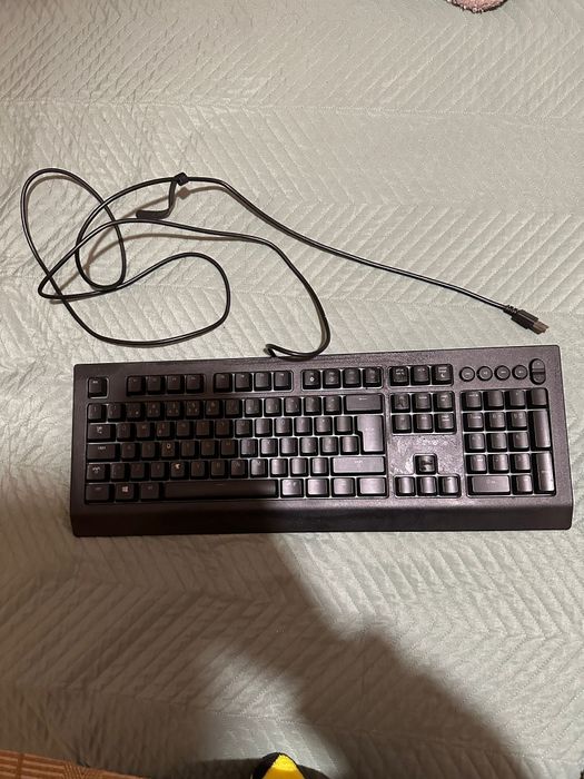 Teclado cynosa v2
