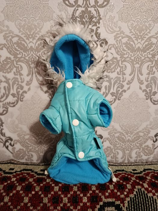 Одежда для собачки