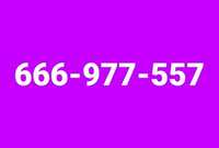 Złoty numer telefonu T-Mobile 666_977_557