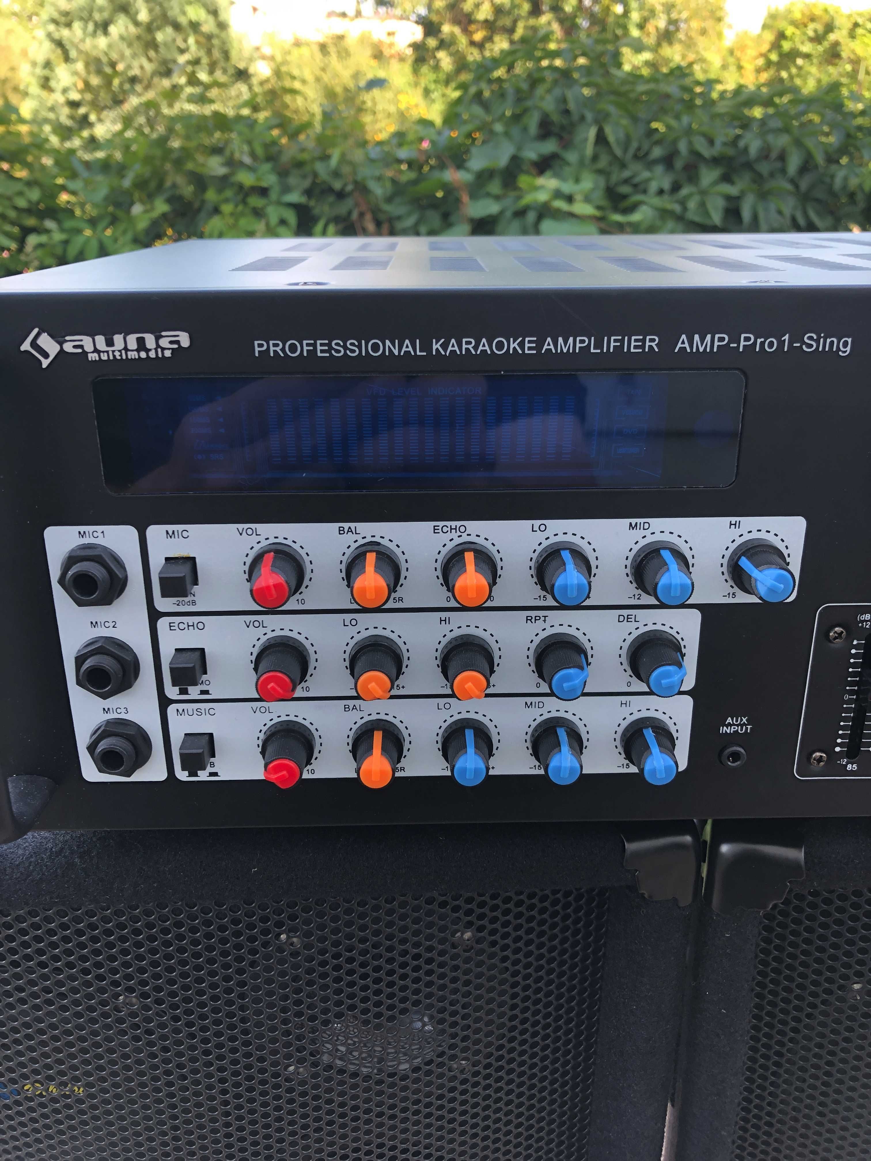 Kolumny estradowe Dibeisi Q1001 + wzmacniacz Auna AMP-Pro1-Sing