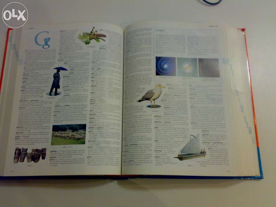 Dicionário ilustrado de língua portuguesa da Porto