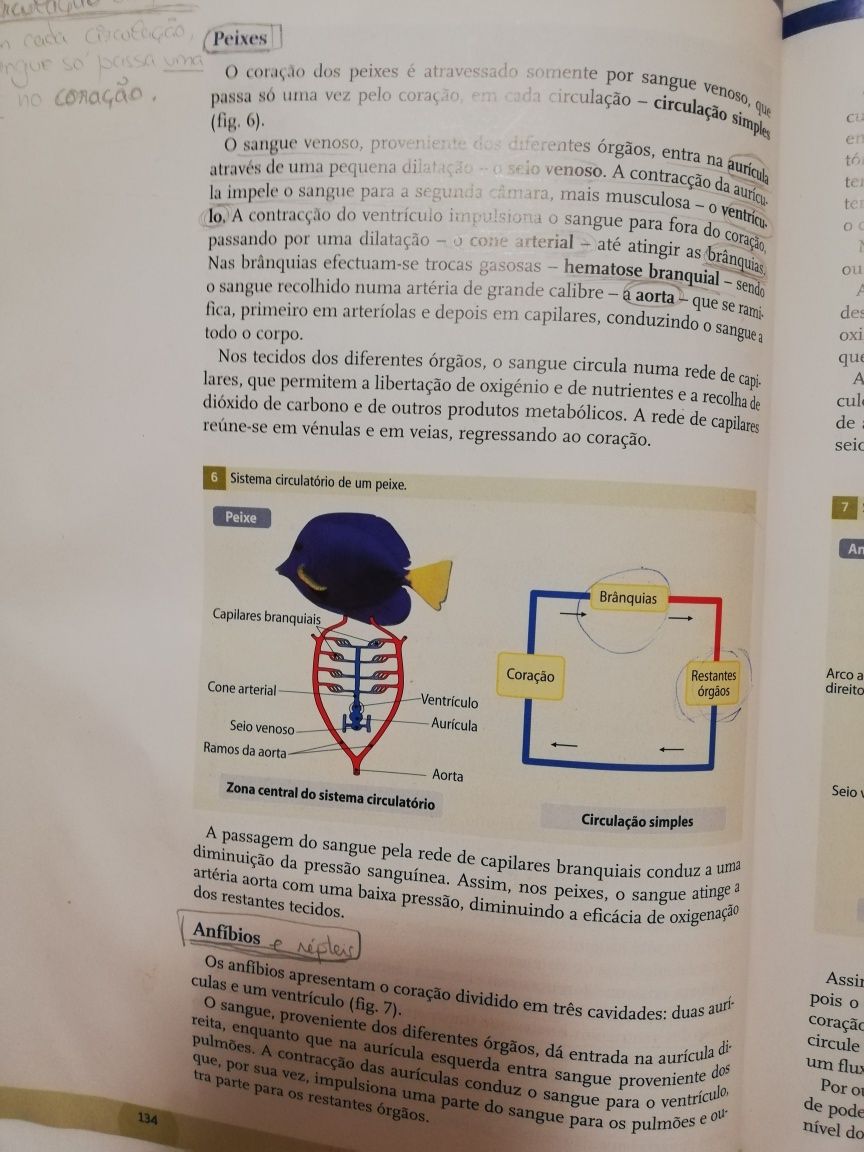 Manual geologia e biologia +Caderno de Ativid 10 e 11ano