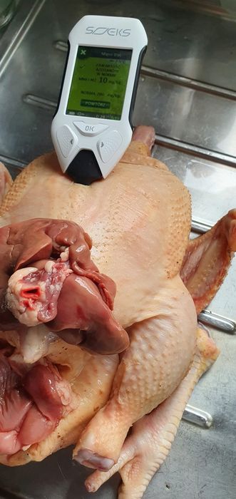 Kurczaki tuszki 2szt. ekologiczne o łącznej wadze 6.4kg bez pasz i ant