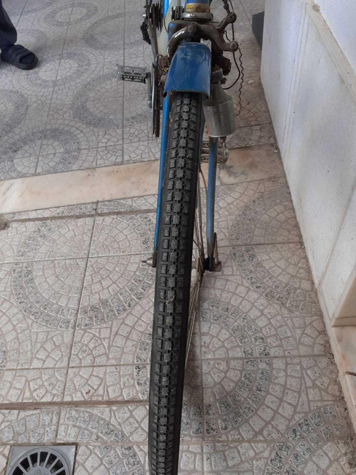 Bicicleta Pasteleira Azul