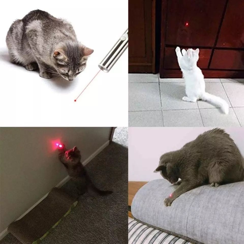 Latarka, laser, lampa uv, zabawka dla kota