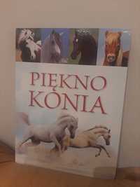 Książka ,, Piękno Konia"