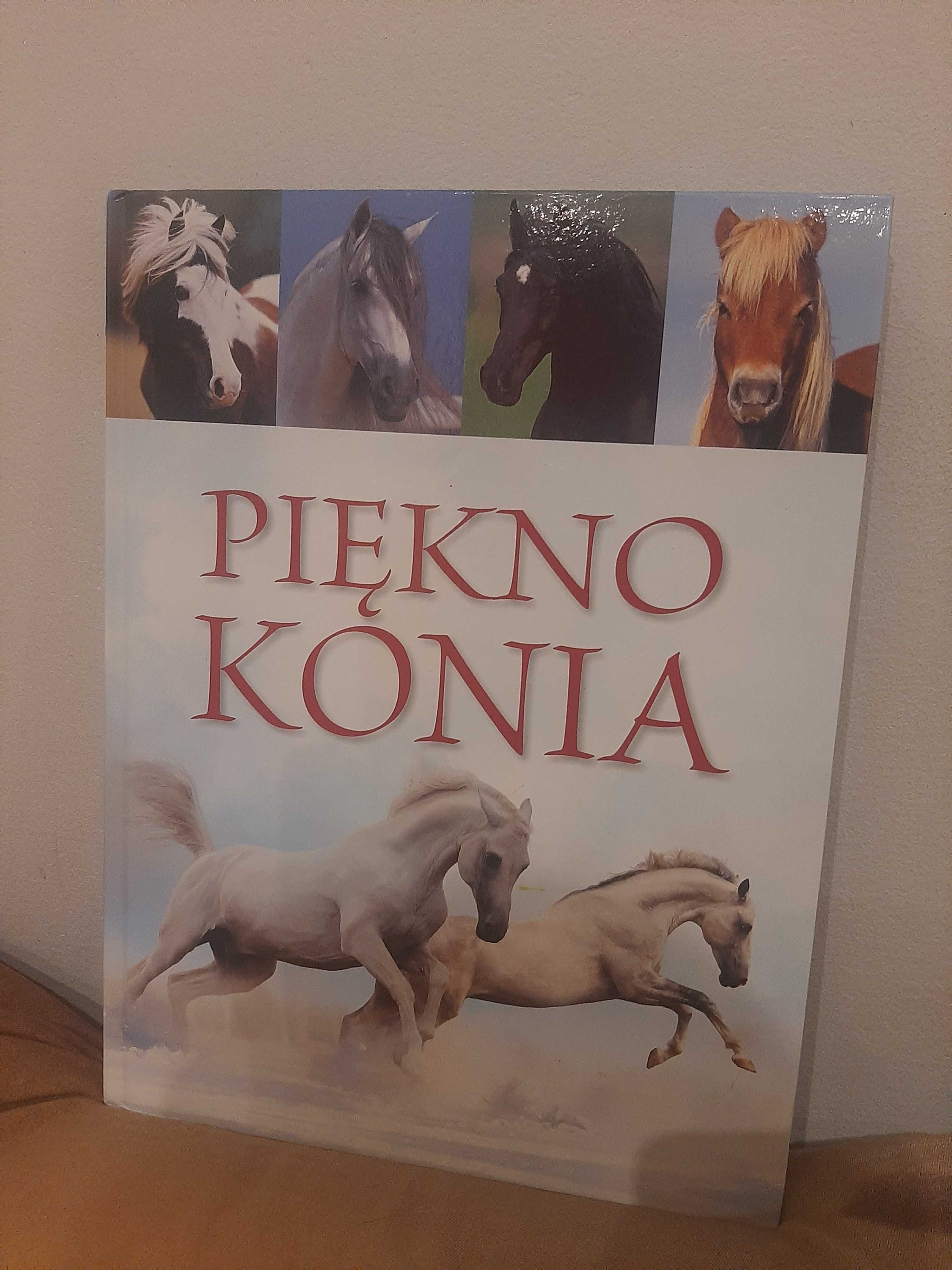 Książka ,, Piękno Konia"