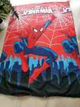 Pościel dla dzieci i młodzieży Spiderman 135x195 cm