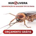 Desinfestação (percevejos, formigas, baratas, térmitas, ratos, etc)