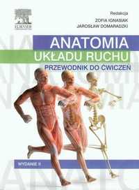 Anatomia układu ruchu przewodnik do ćwiczeń Książka NOWA NaMedycyne