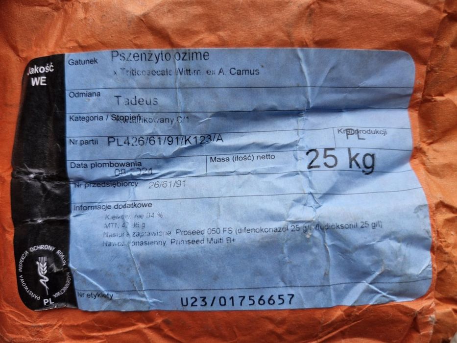 Pszenżyto Ozime Tadeus