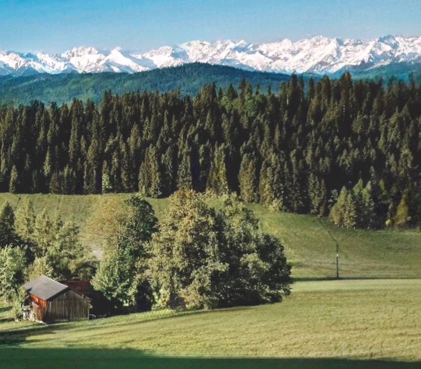 Działka z widokiem na Tatry w otoczeniu lasów z dala od zabudowań