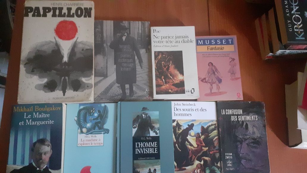 Literatura diversa em francês