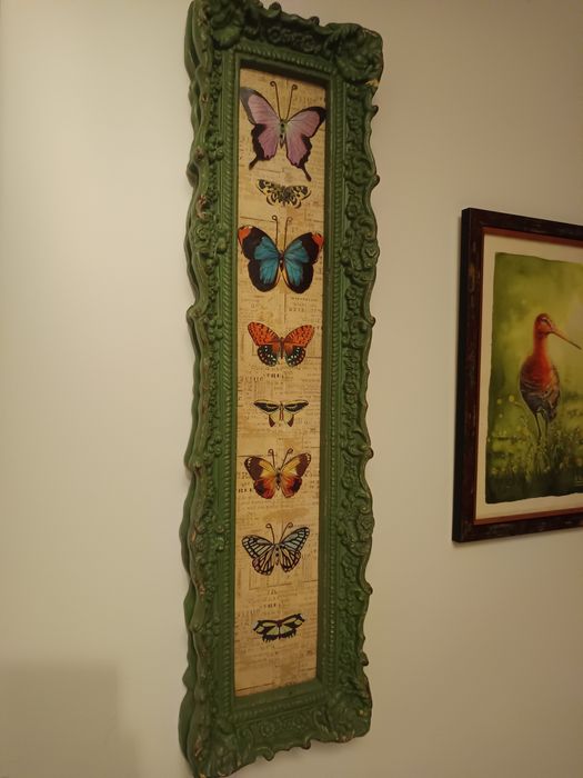 Quadro borboletas Loja do Gato Preto