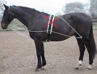Shires Lunging Aid Trójkątne wodze pomocnicze do lonżowania