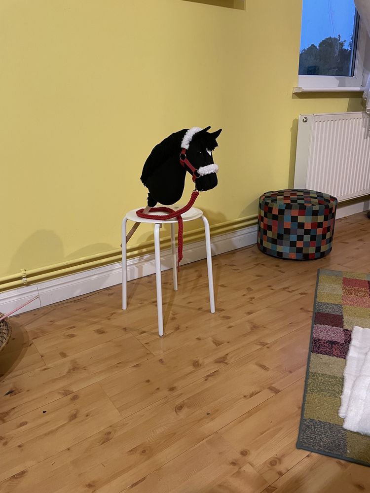 Hobby horse koń na kiju
