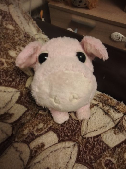 Big Headz м'які колекційні іграшки глазастики головастики