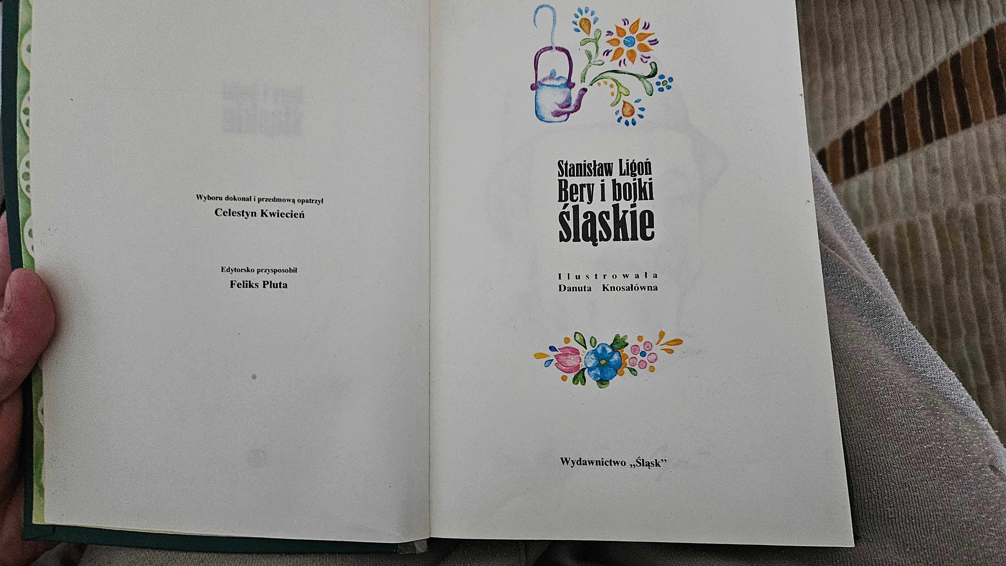 Bery i bojki śląskie - Stanisław Ligoń
