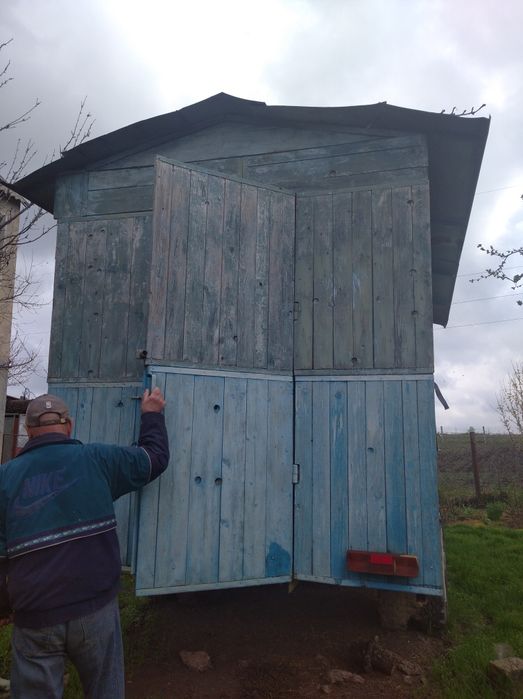 Пчелопавильон, пчёлы