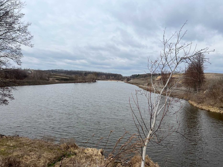 Продається будинок в селі Буки, Білоцерківського району.