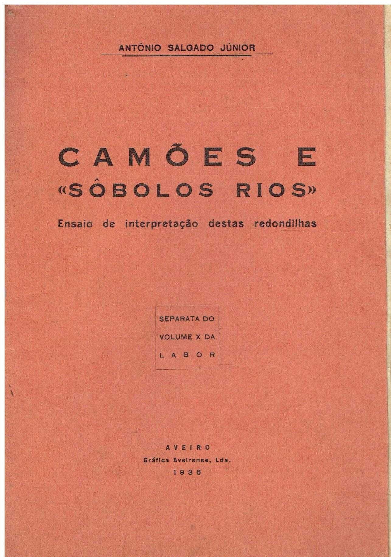 11127

Camões e "sobolos rios" 
de António Salgado Júnior.