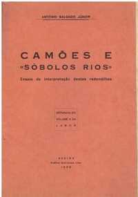 11127

Camões e "sobolos rios" 
de António Salgado Júnior.