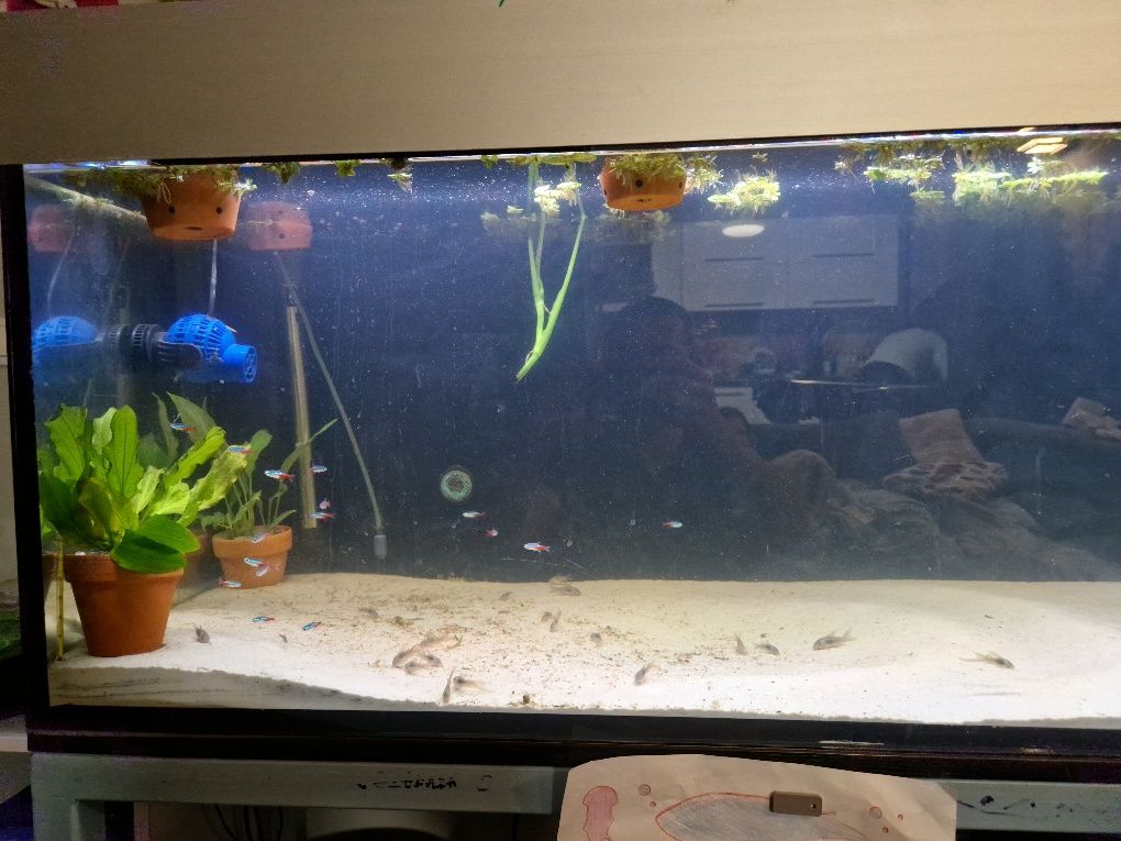 Akwarium 450 L- cały zestaw