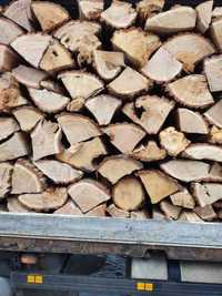 Великий вибір дров: різні породи для вашого затишку!