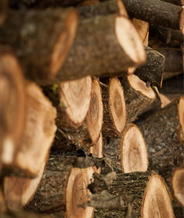 Продаю дрова для затишку вашого дому — рублені й не порублені