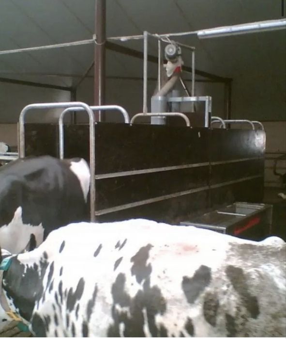 Stacja paszowa westfalia gea