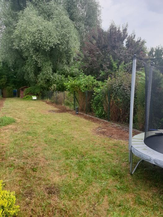 Wycinka Drzew*Karczowanie Działek* Rębak*Usługi Ogrodnicze *