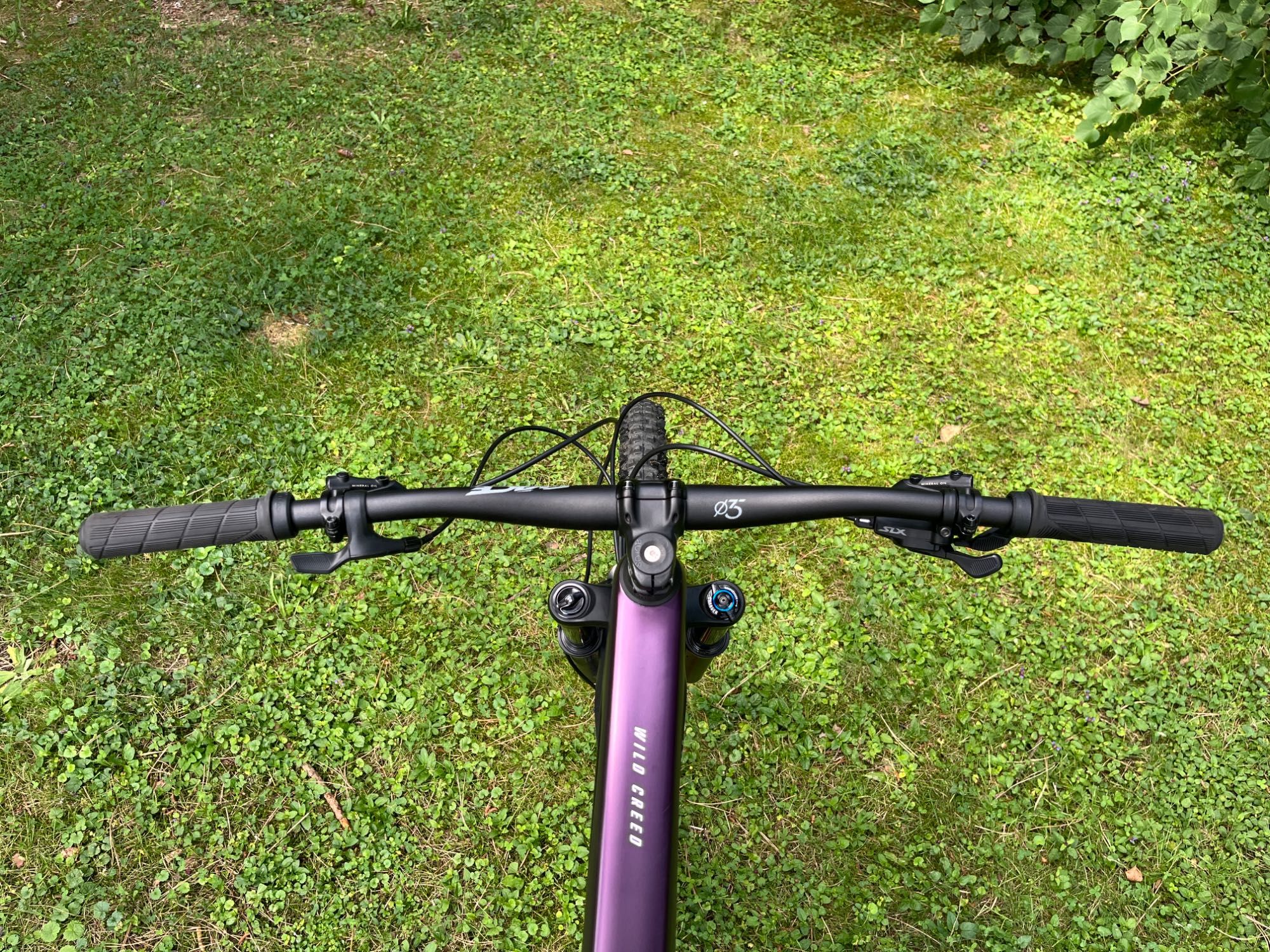 Bulls Wild creed RS XL 29”