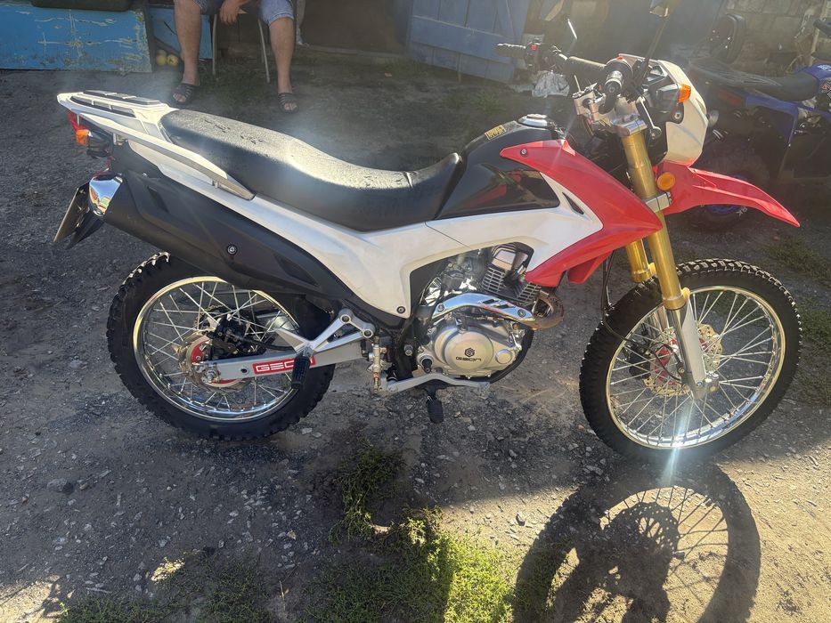 Продам надійного ,живого Geona