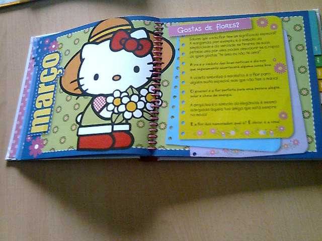 Livro «365 dias com a Hello Kitty»