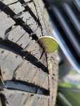 Nowe opony wielosezonowe 195/65 R15