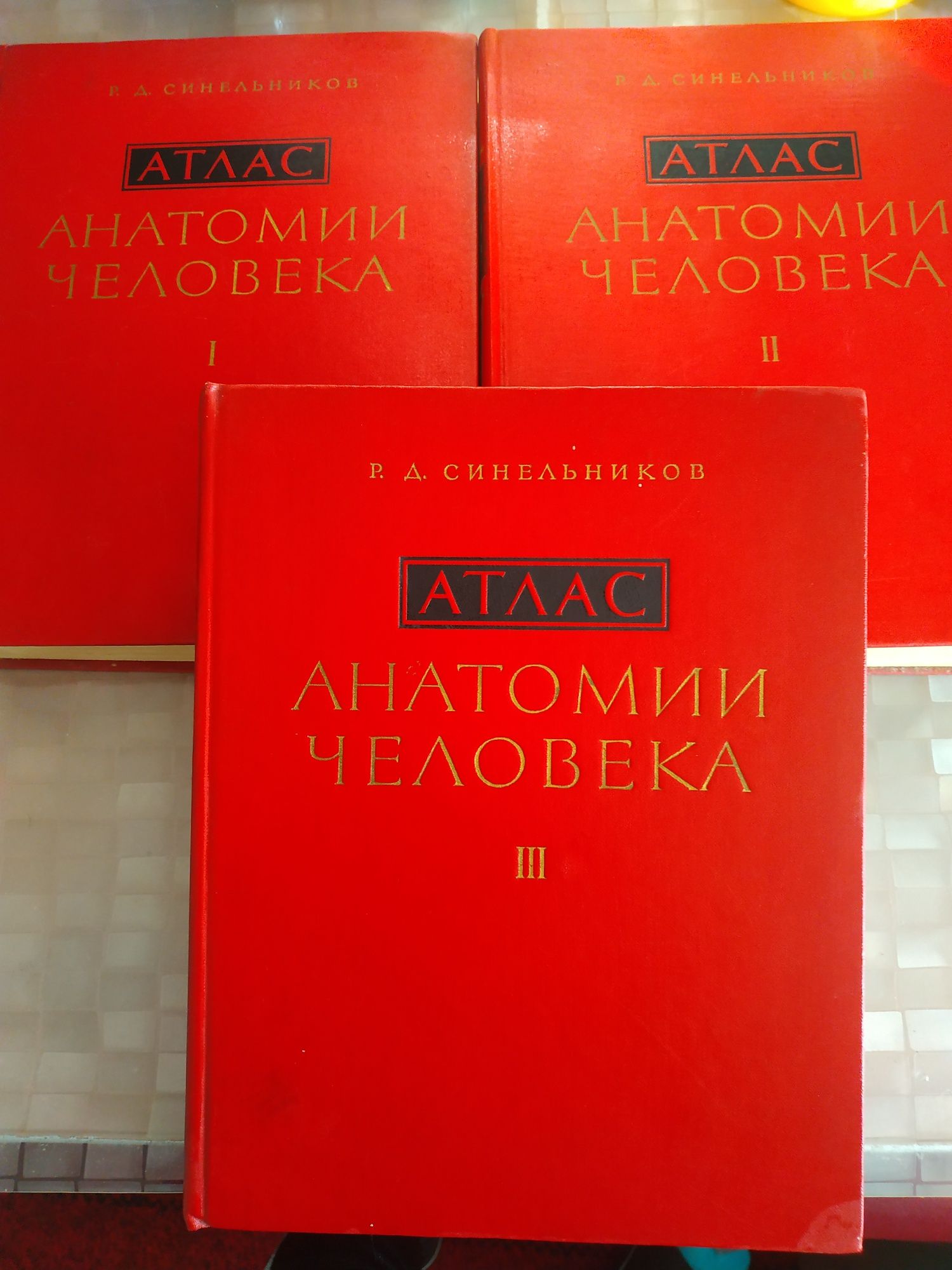 Атлас анатомии человека в 3х томах