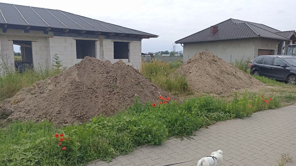 Czarna ziemia ktoś chętny?