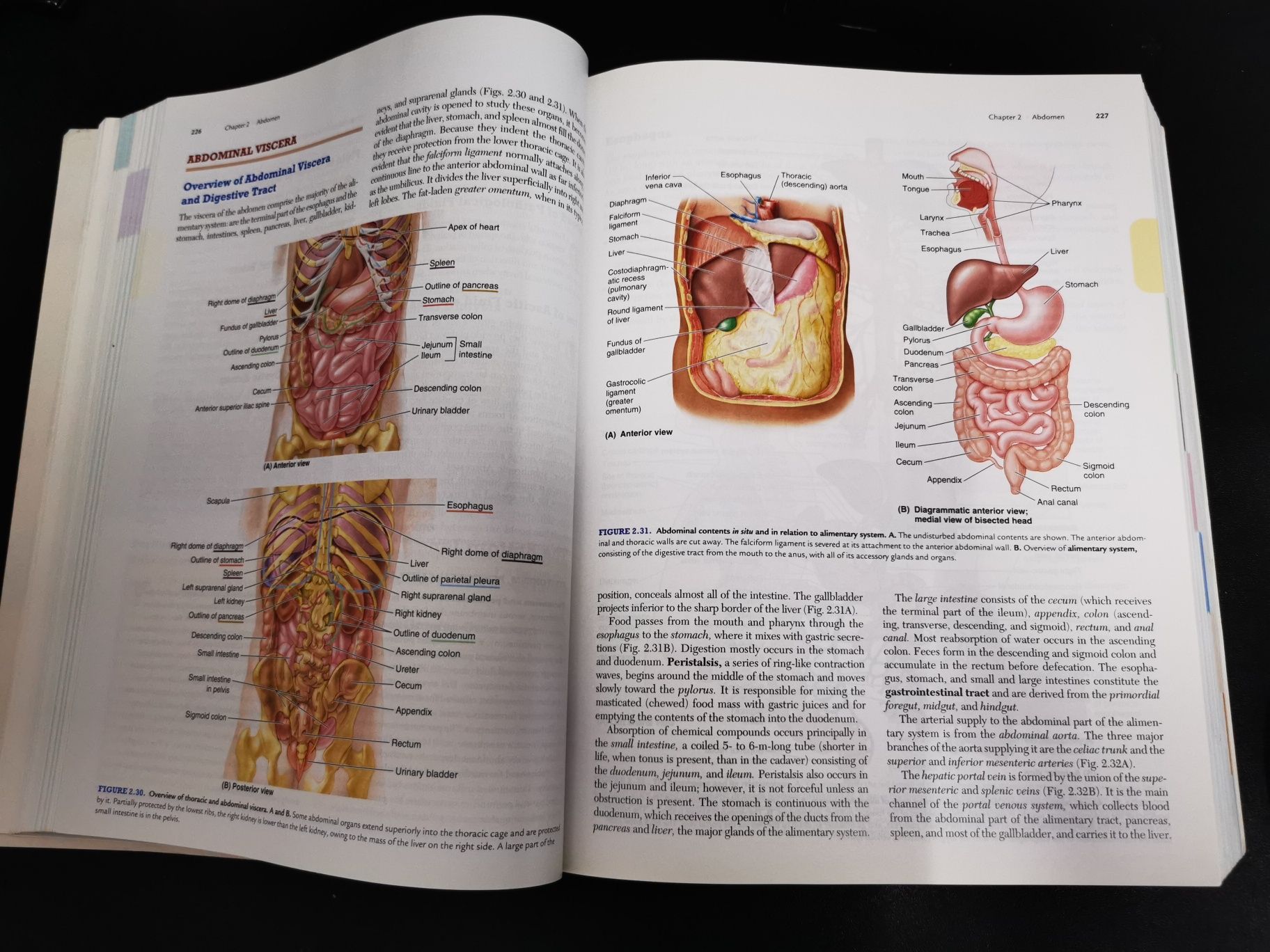 Clinically Oriented Anatomy Keith L. Moore 7th edition