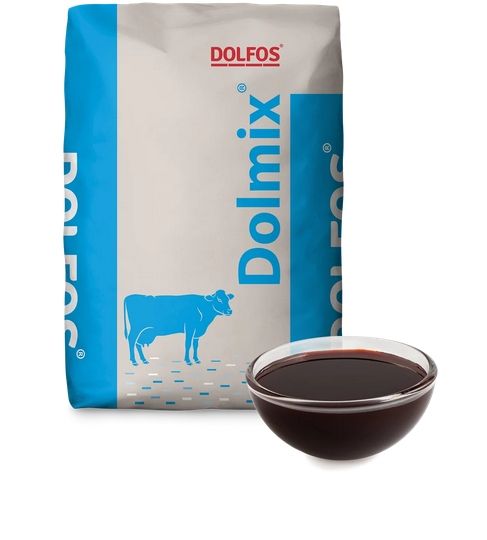 Dolmix Rumen Activator dla owiec kóz Dolfos 20kg