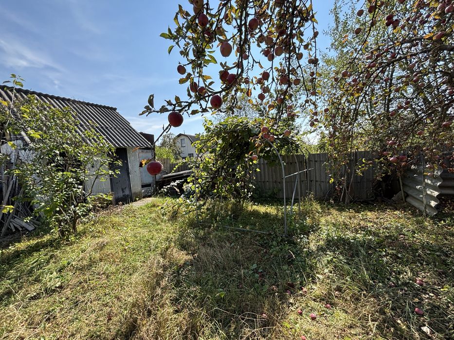 Продаж Будинок 20м². Ділянка 6сот. Братківці. Дача. Вода. Світло. Сад