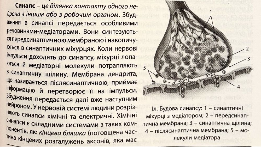 Довідник з біології для підготовки до НМТ/ЗНО