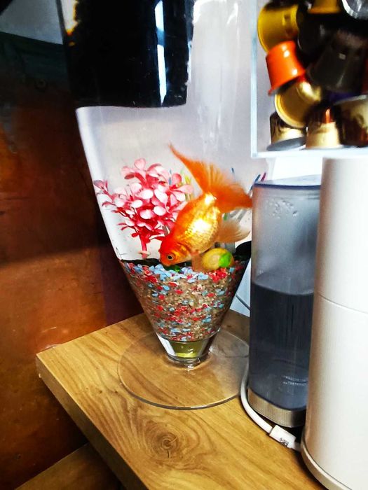 1-кімнатна квартира з теплою підлогою,ЖК "АРТ-МІСТО"