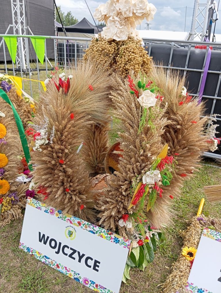 Wieniec dożynkowy