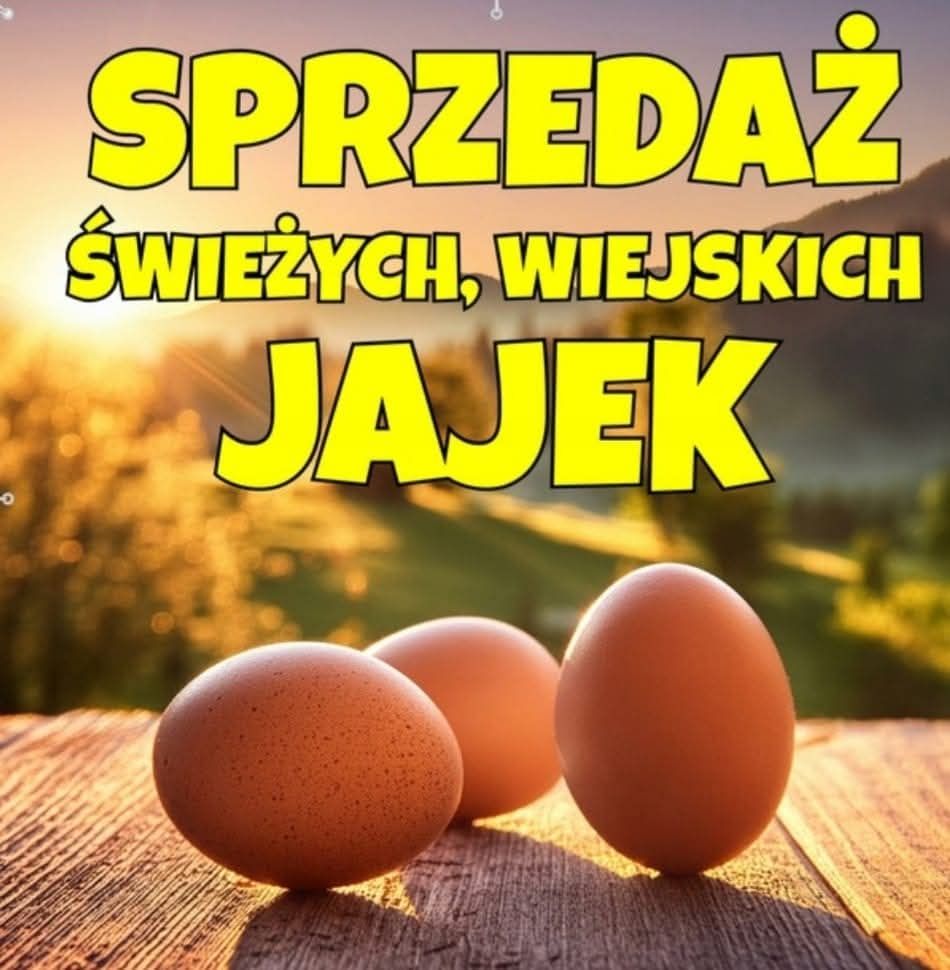 Sprzedam Jajka od kur z wolnego wybiegu