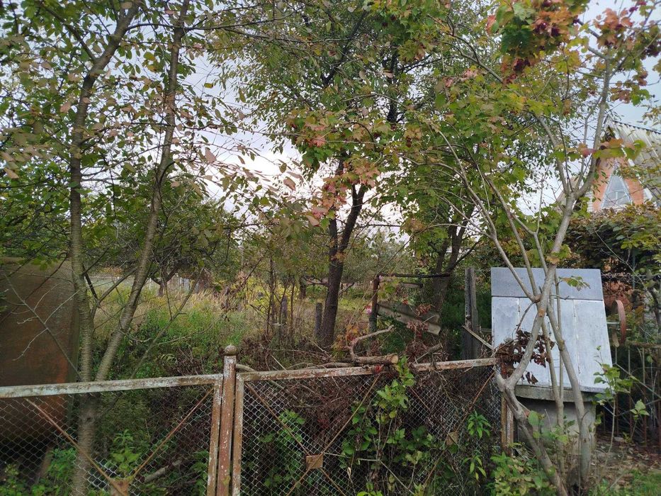 (8) Продам дачний будинок в с. Сальник 8614