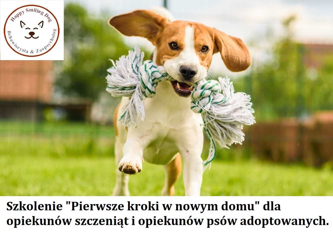 Behawiorysta / Zoopsycholog, konsultacje, szkolenie dla opiekunów psa